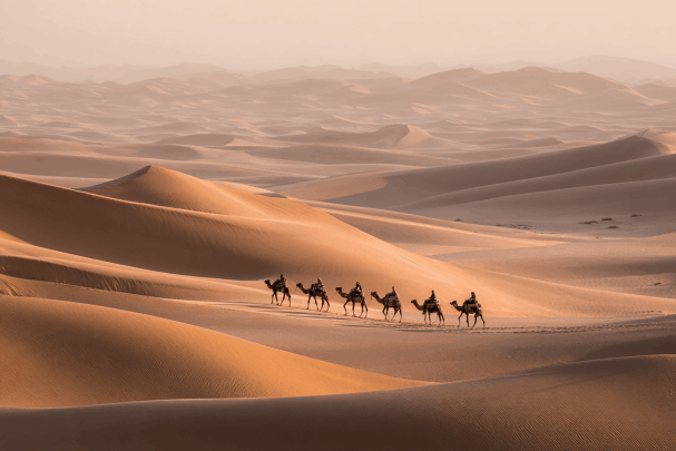 travel